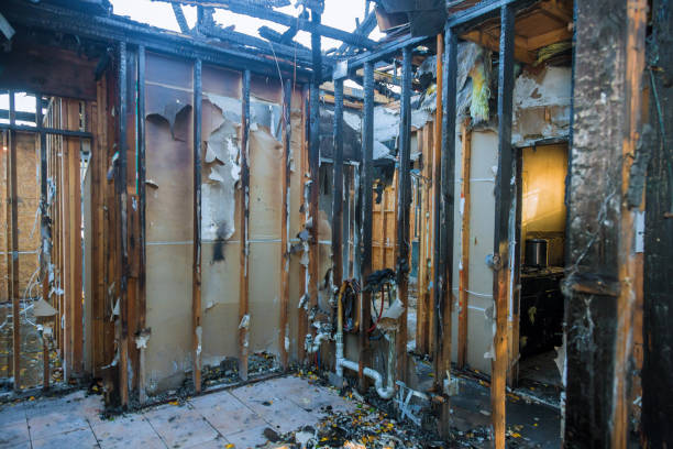 Professional Fire Damage Removal technician working in La Presa, CA